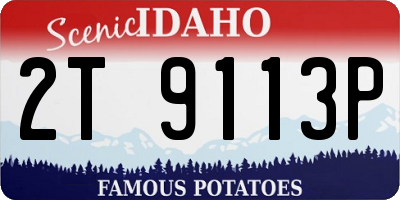 ID license plate 2T9113P
