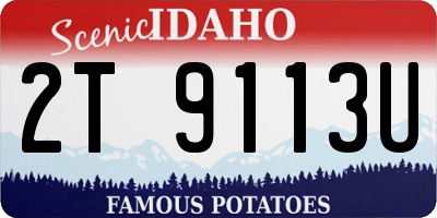 ID license plate 2T9113U