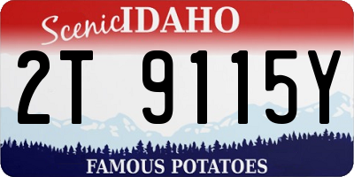 ID license plate 2T9115Y