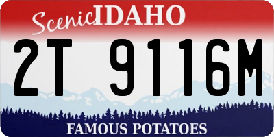 ID license plate 2T9116M