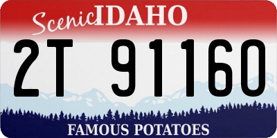 ID license plate 2T9116O