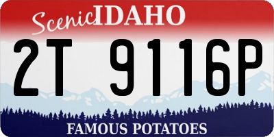 ID license plate 2T9116P