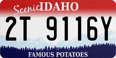 ID license plate 2T9116Y