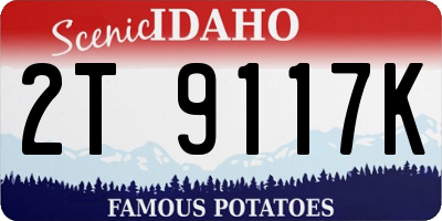 ID license plate 2T9117K