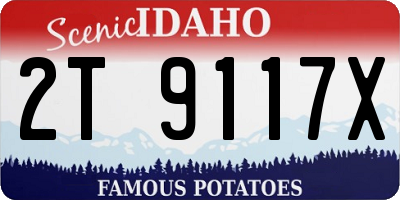 ID license plate 2T9117X