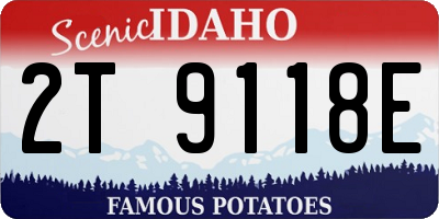 ID license plate 2T9118E