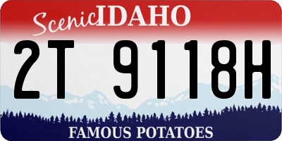 ID license plate 2T9118H