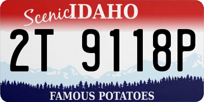 ID license plate 2T9118P