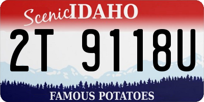 ID license plate 2T9118U