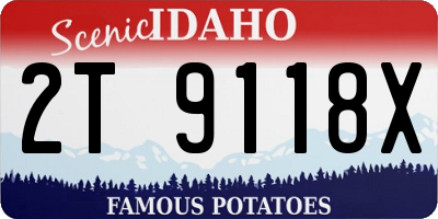ID license plate 2T9118X