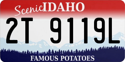 ID license plate 2T9119L