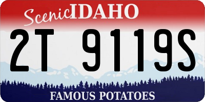 ID license plate 2T9119S