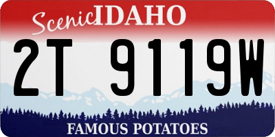 ID license plate 2T9119W
