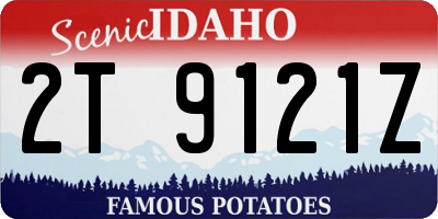 ID license plate 2T9121Z