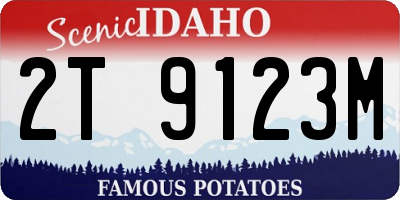 ID license plate 2T9123M