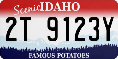 ID license plate 2T9123Y