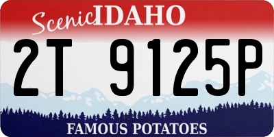 ID license plate 2T9125P