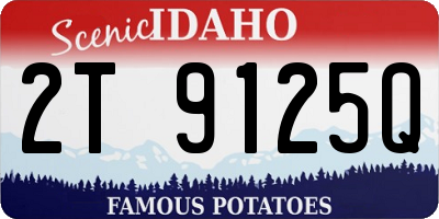 ID license plate 2T9125Q