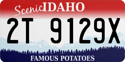 ID license plate 2T9129X