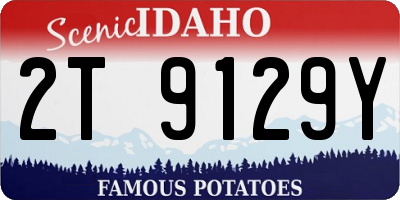 ID license plate 2T9129Y