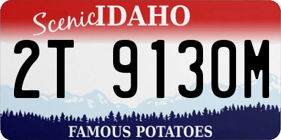 ID license plate 2T9130M