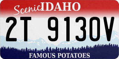 ID license plate 2T9130V