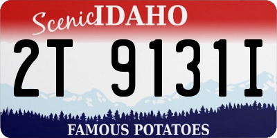ID license plate 2T9131I
