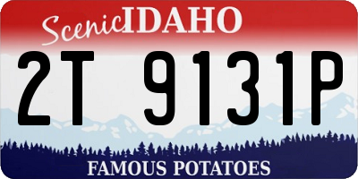 ID license plate 2T9131P
