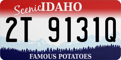 ID license plate 2T9131Q