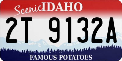 ID license plate 2T9132A