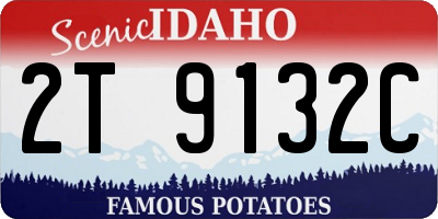 ID license plate 2T9132C