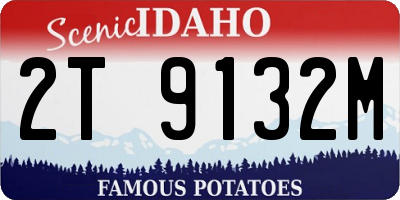 ID license plate 2T9132M