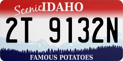 ID license plate 2T9132N