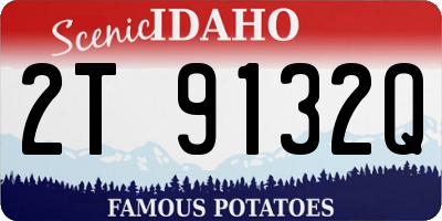 ID license plate 2T9132Q