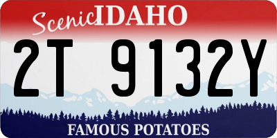 ID license plate 2T9132Y