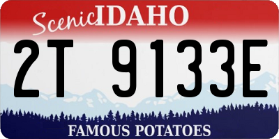ID license plate 2T9133E