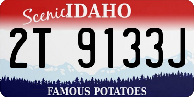 ID license plate 2T9133J