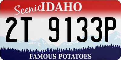 ID license plate 2T9133P