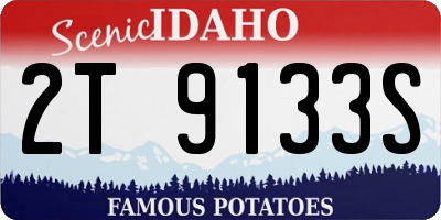ID license plate 2T9133S
