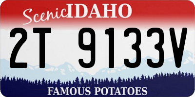 ID license plate 2T9133V