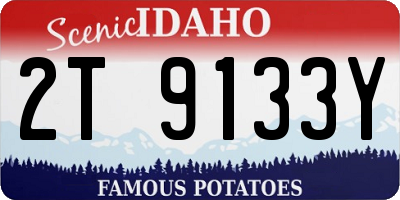 ID license plate 2T9133Y