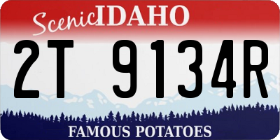 ID license plate 2T9134R