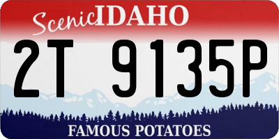 ID license plate 2T9135P