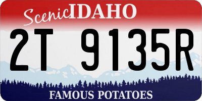 ID license plate 2T9135R