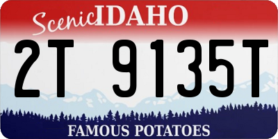ID license plate 2T9135T