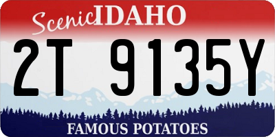 ID license plate 2T9135Y