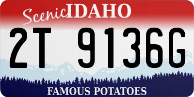 ID license plate 2T9136G