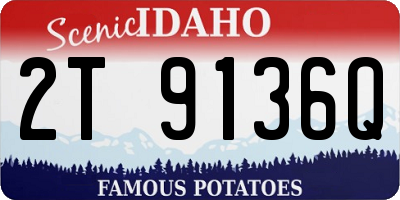 ID license plate 2T9136Q