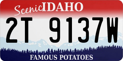 ID license plate 2T9137W
