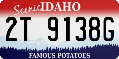ID license plate 2T9138G